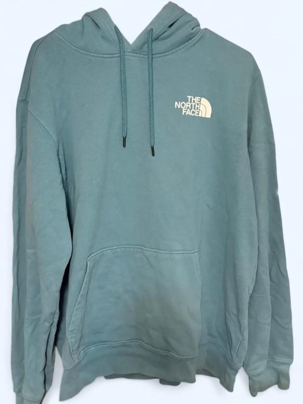 The North Face Men's Hoodie in Dusty Teal Green